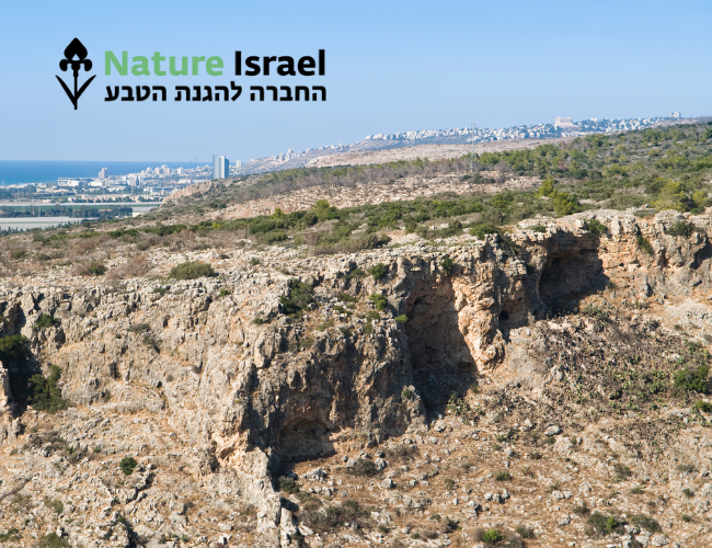 החברה להגנת הטבע