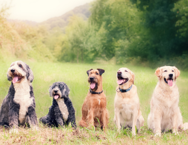 Untitled design (48)